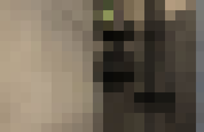  / #19