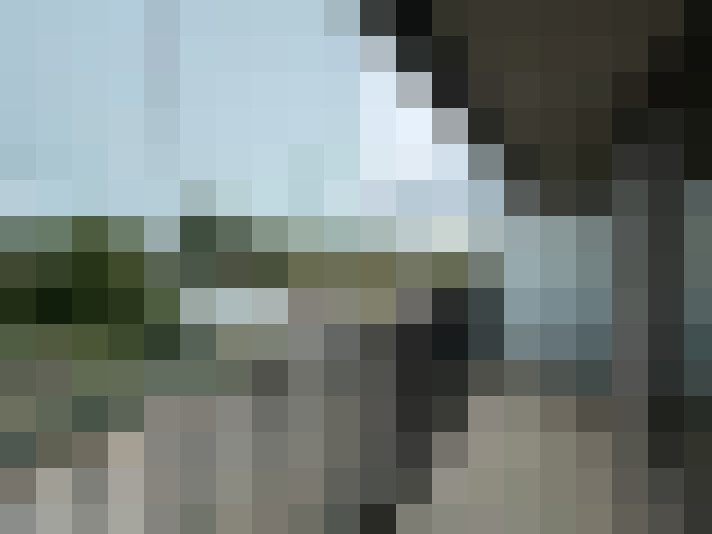  / #14