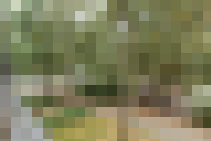 / #13