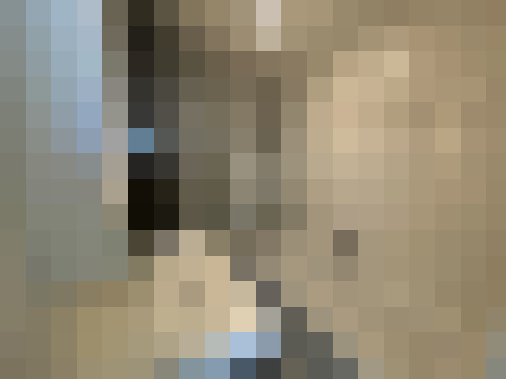  / #20