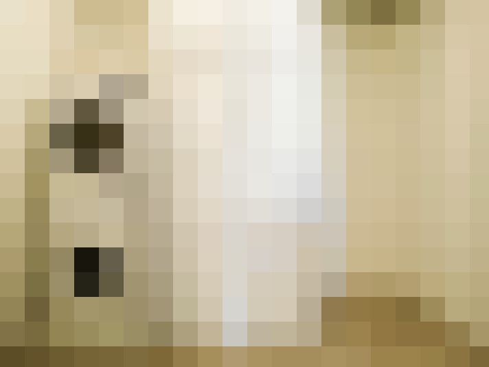  / #23