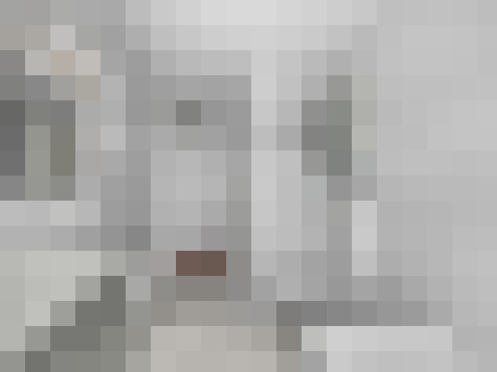  / #19