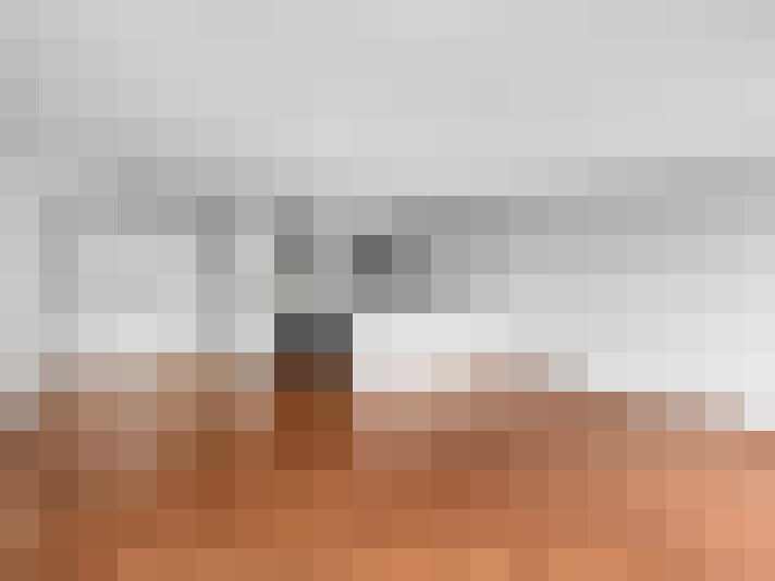  / #17