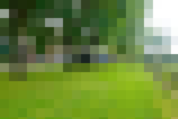  / #31