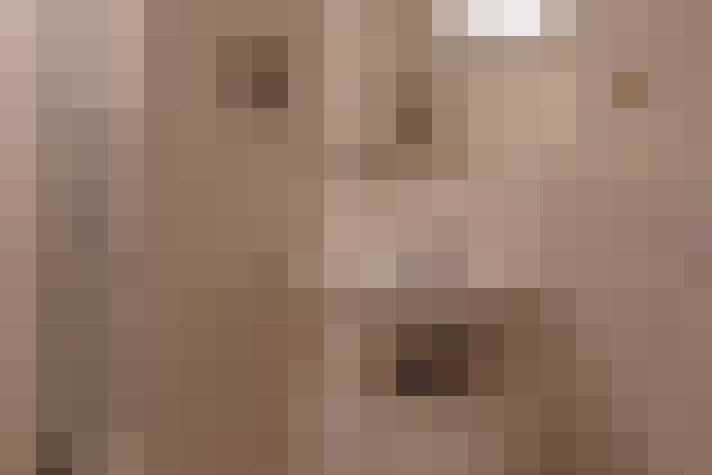  / #26