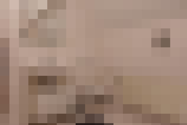  / #25