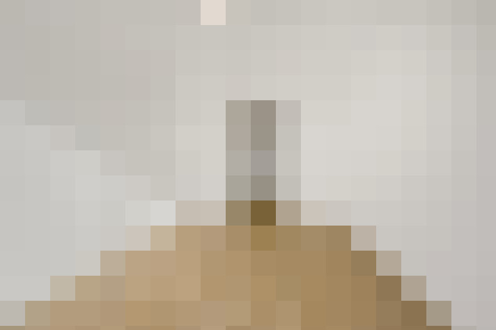  / #21