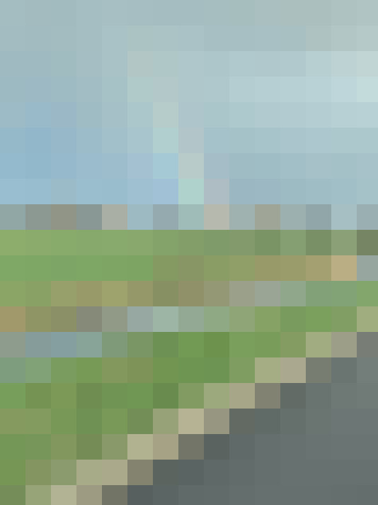  / #33