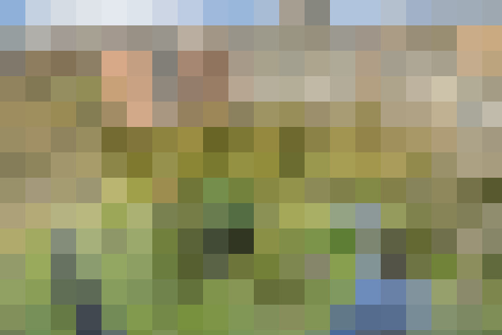  / #16