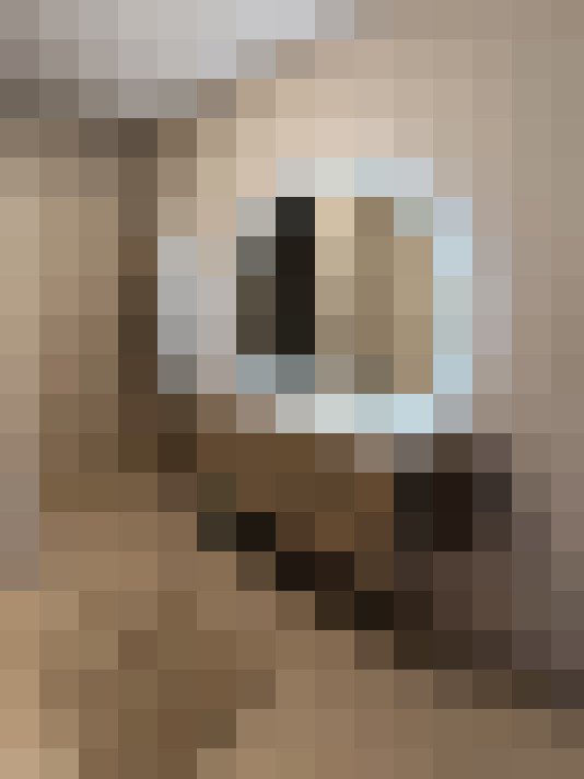  / #17