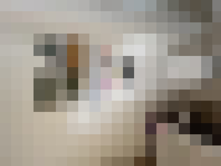  / #18