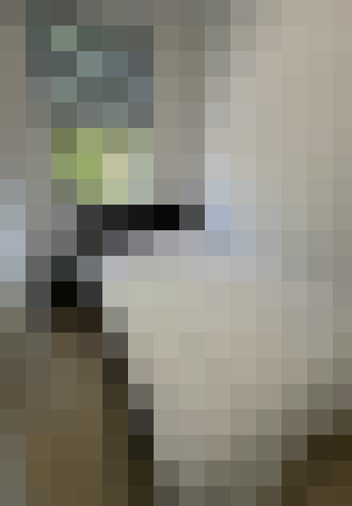  / #8