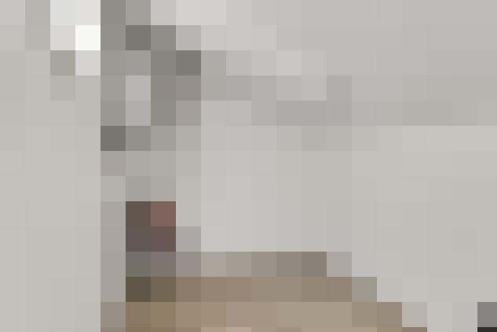  / #15