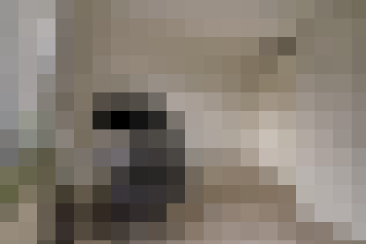  / #18