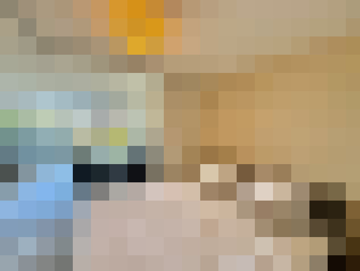  / #16