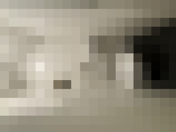  / #16