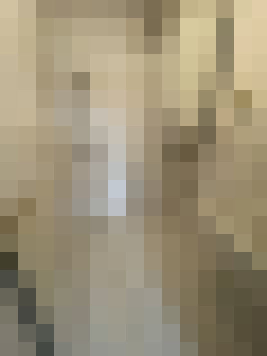  / #11