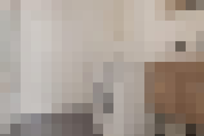  / #17