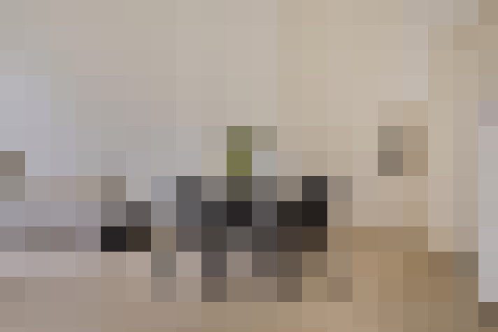  / #9