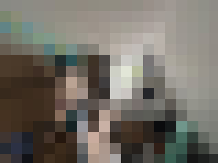  / #15