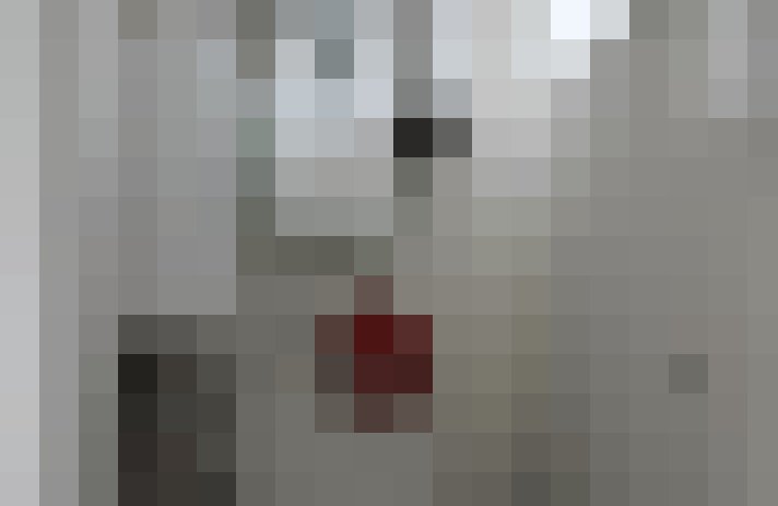  / #19