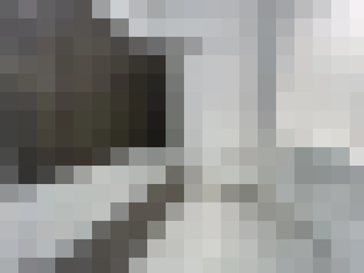  / #19