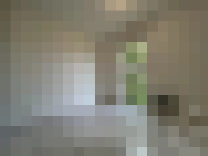  / #15
