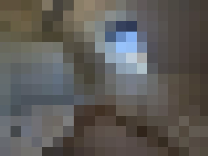  / #12