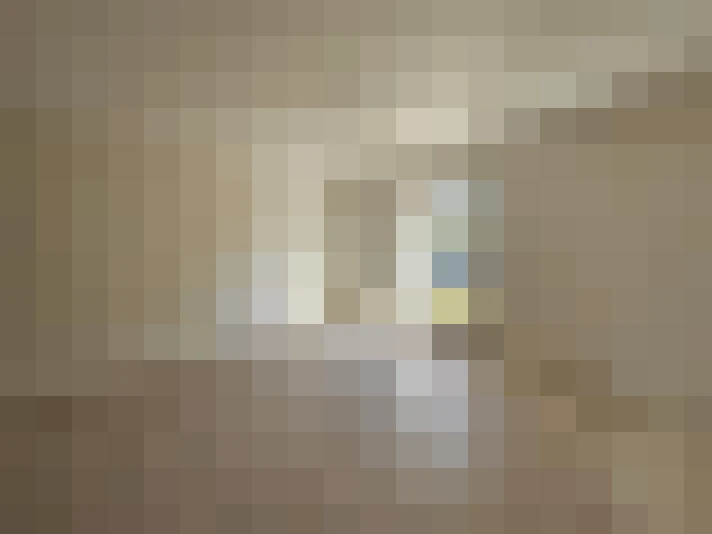  / #17