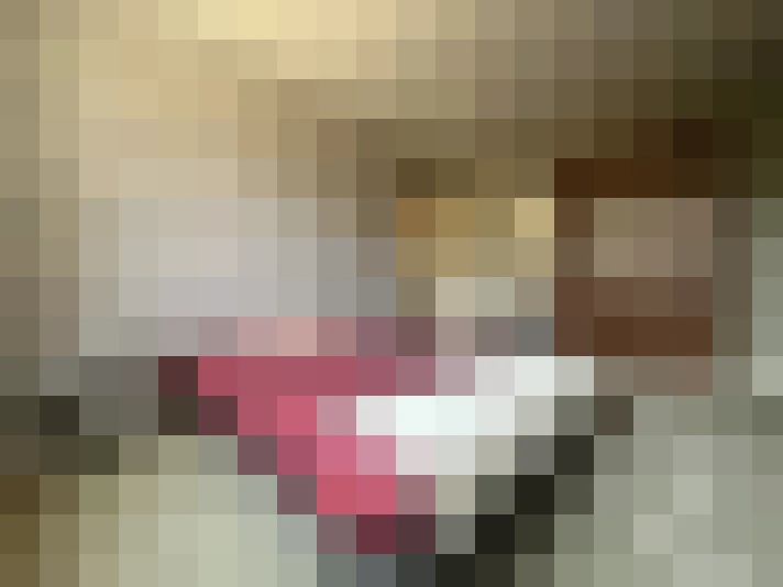  / #14