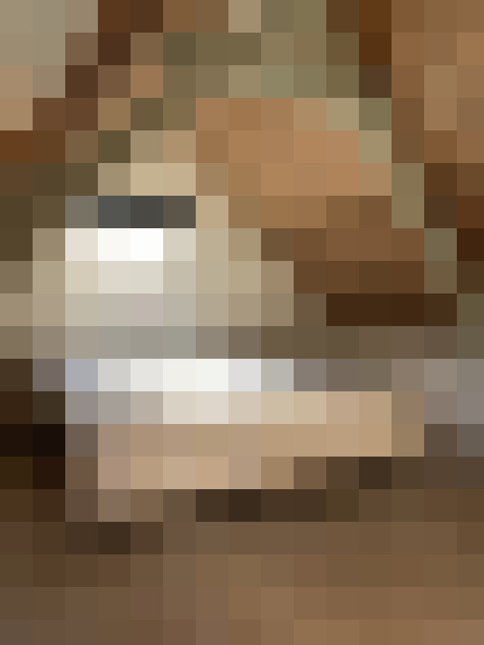  / #15