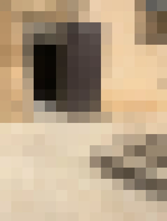  / #20
