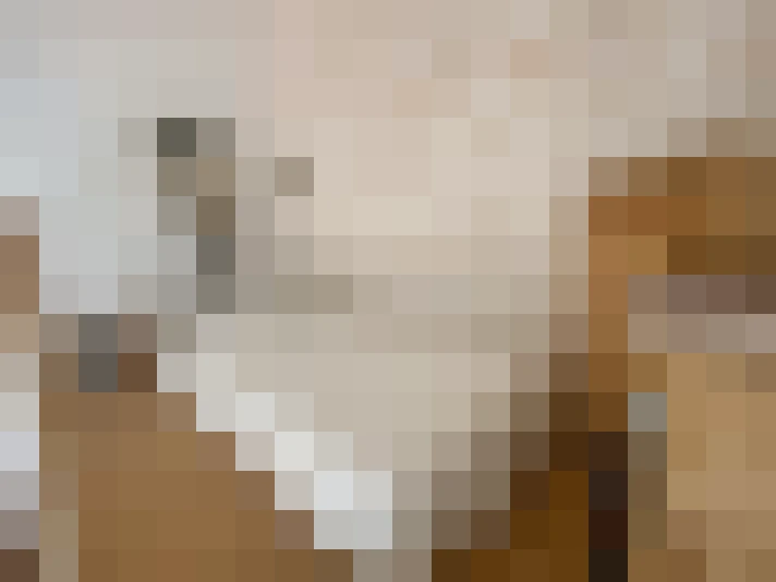  / #13