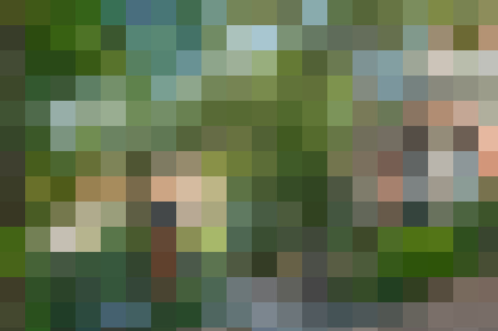  / #14
