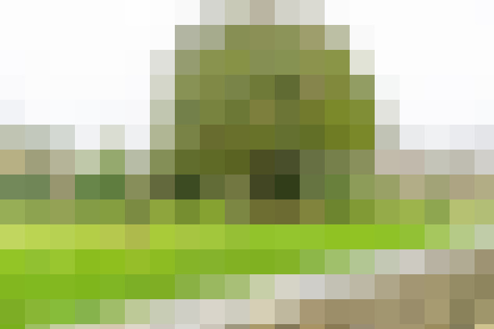  / #11