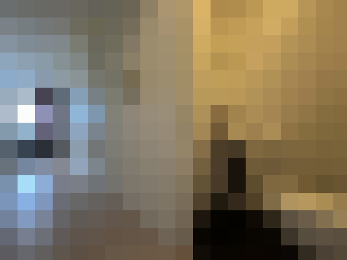  / #22
