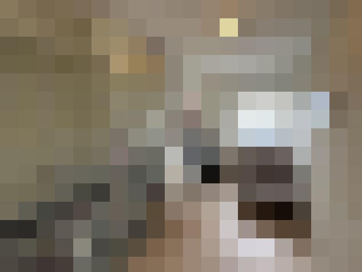  / #29