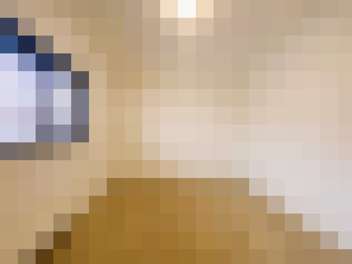  / #19