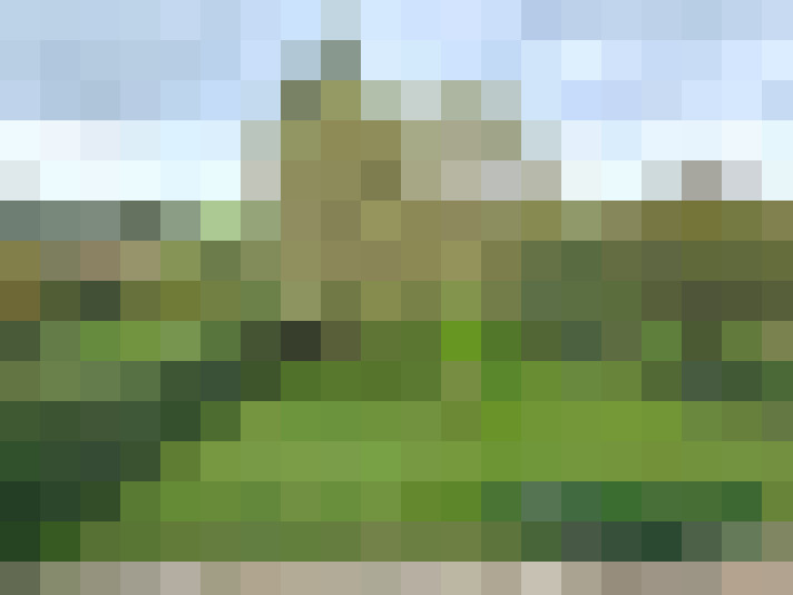  / #12