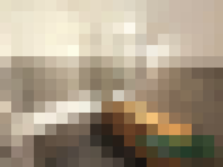  / #19