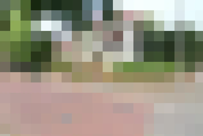  / #2