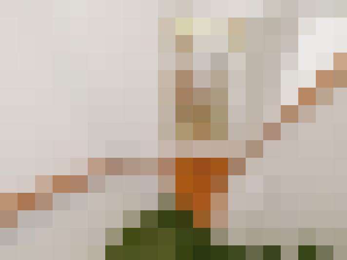  / #19