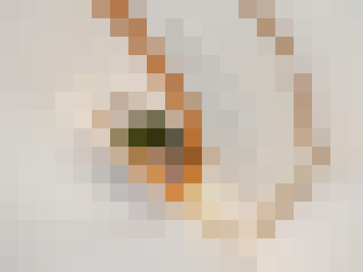  / #42