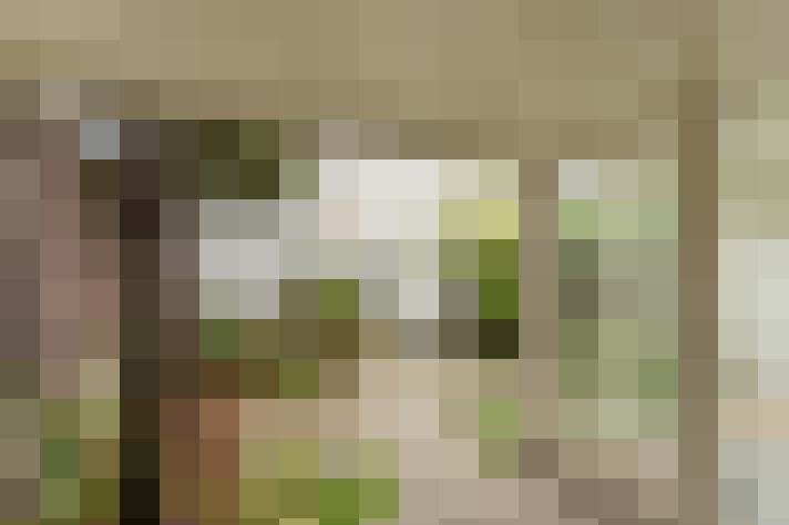  / #15