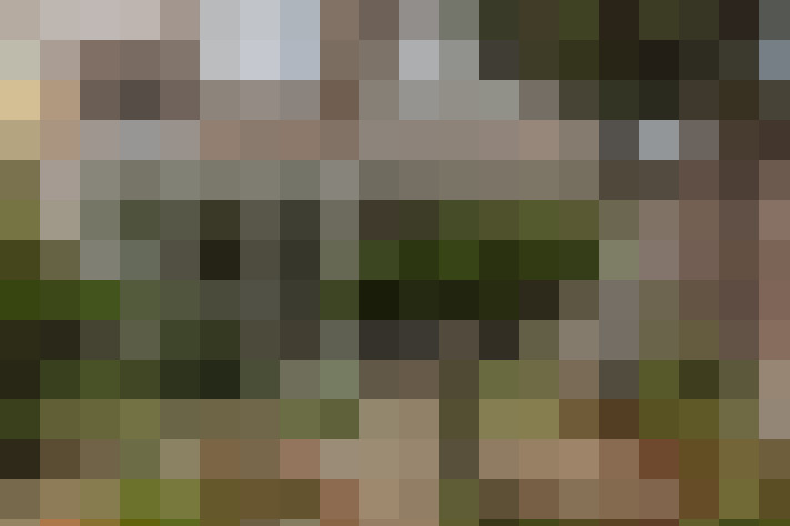  / #19