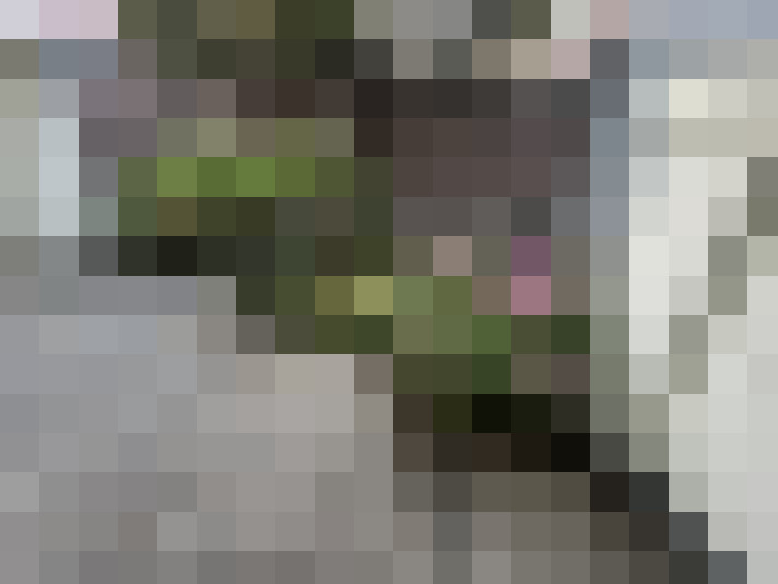  / #61