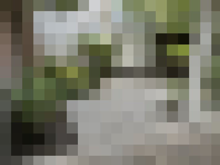  / #62