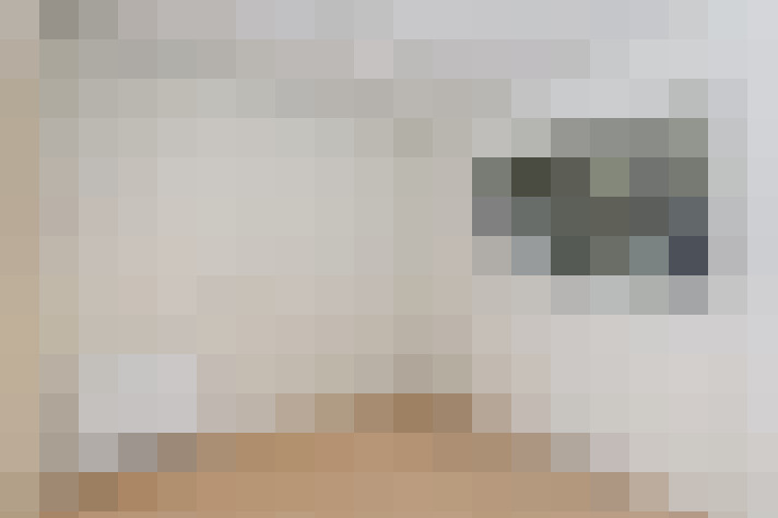  / #33
