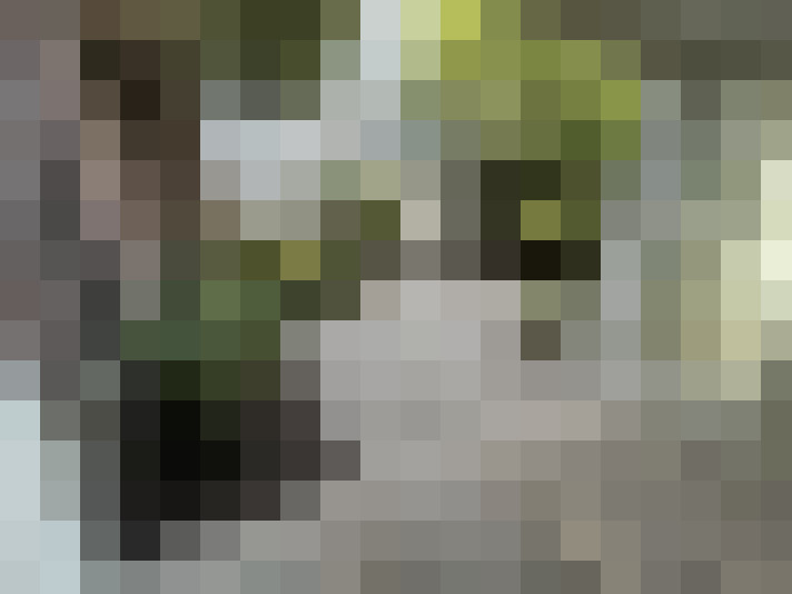  / #17