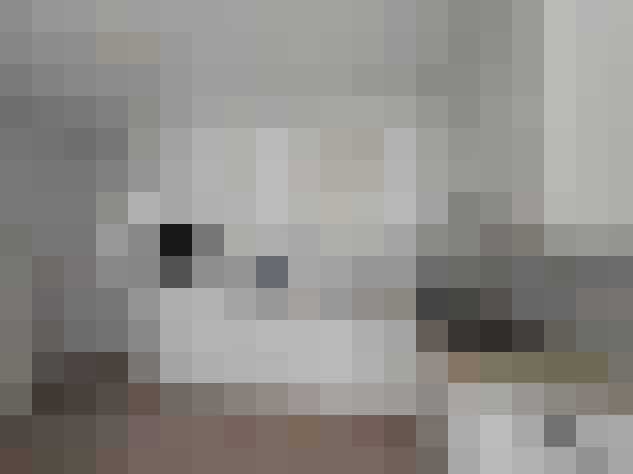  / #13